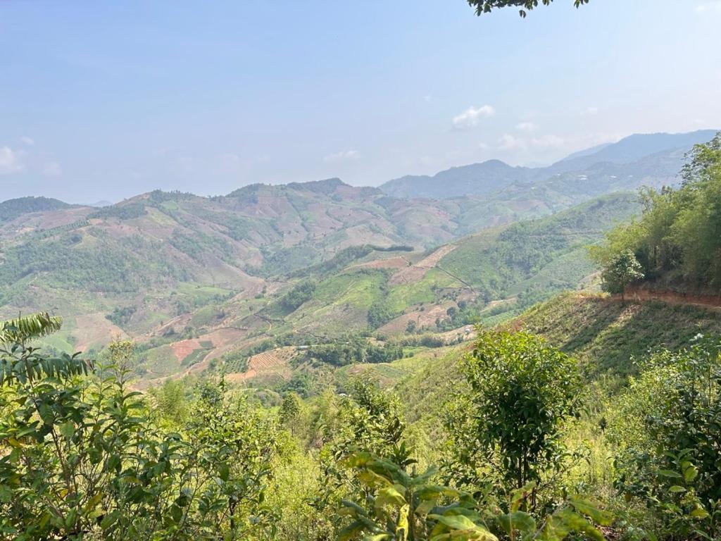 My Story Doichang Chiangrai Ban Huai Khai Exteriér fotografie